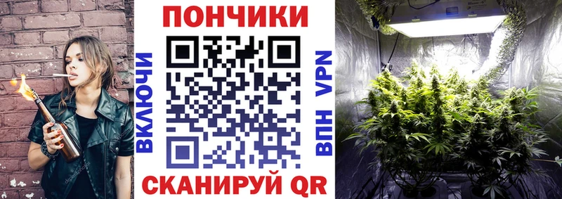 Каннабис планчик  хочу   Абаза 